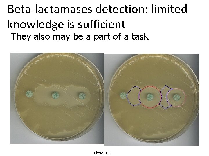 Beta-lactamases detection: limited knowledge is sufficient They also may be a part of a