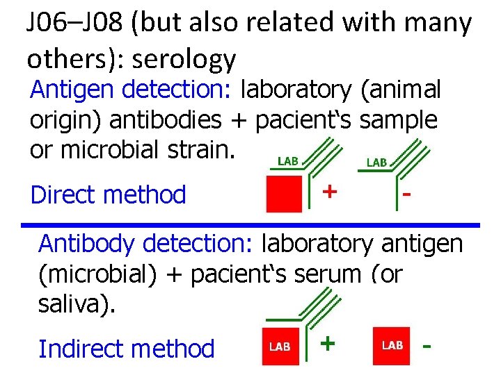 J 06–J 08 (but also related with many others): serology Antigen detection: laboratory (animal