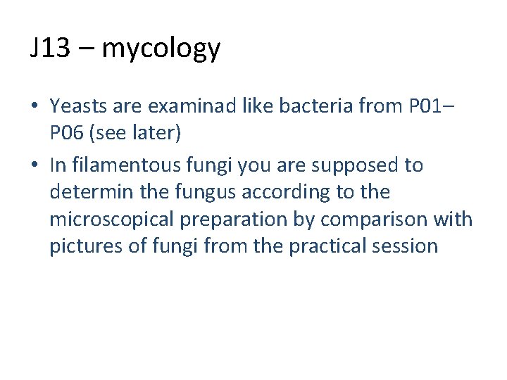 J 13 – mycology • Yeasts are examinad like bacteria from P 01– pozitivní