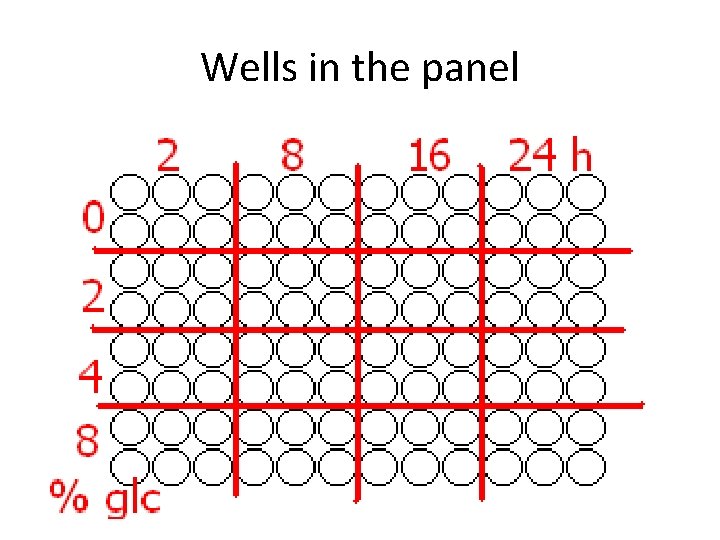 Wells in the panel 