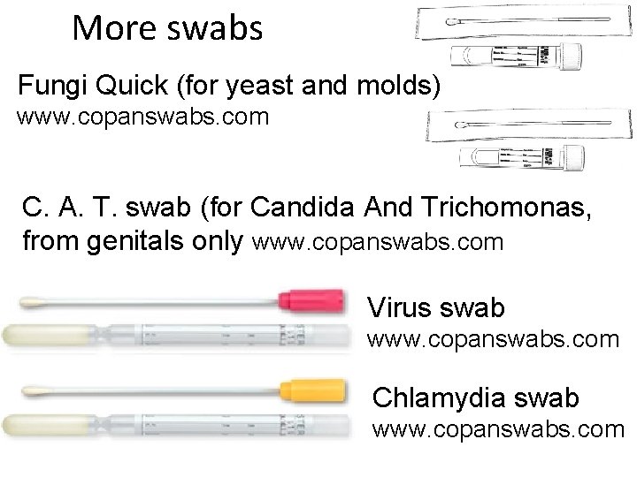 More swabs Fungi Quick (for yeast and molds) www. copanswabs. com C. A. T.