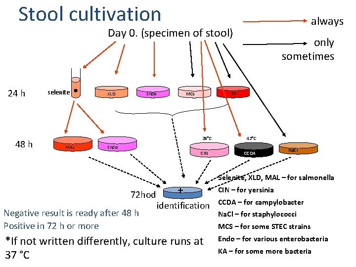 Stool cultivation always Day 0. (specimen of stool) 24 h 48 h selenite XLD