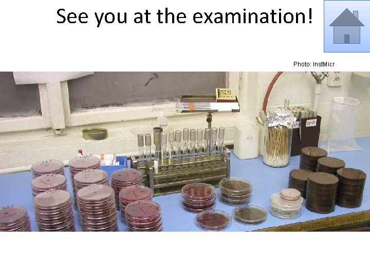 See you at the examination! Photo: Inst. Micr 