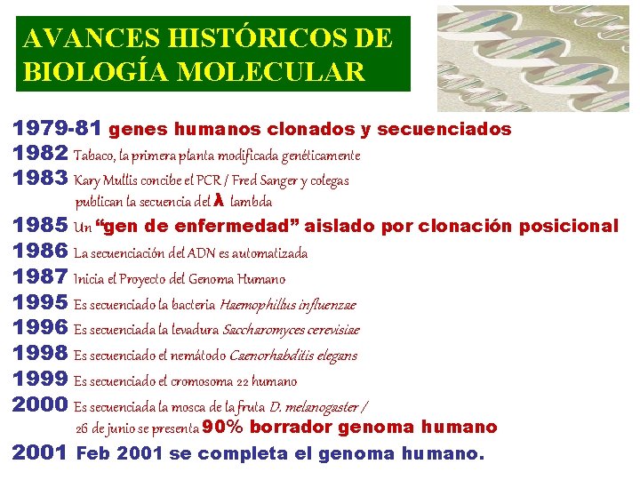 AVANCES HISTÓRICOS DE BIOLOGÍA MOLECULAR 1979 -81 genes humanos clonados y secuenciados 1982 Tabaco,