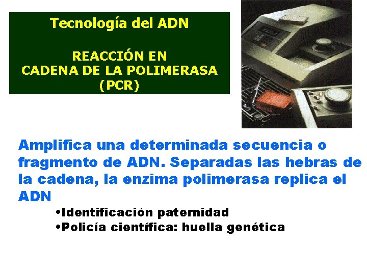 Tecnología del ADN REACCIÓN EN CADENA DE LA POLIMERASA (PCR) Amplifica una determinada secuencia