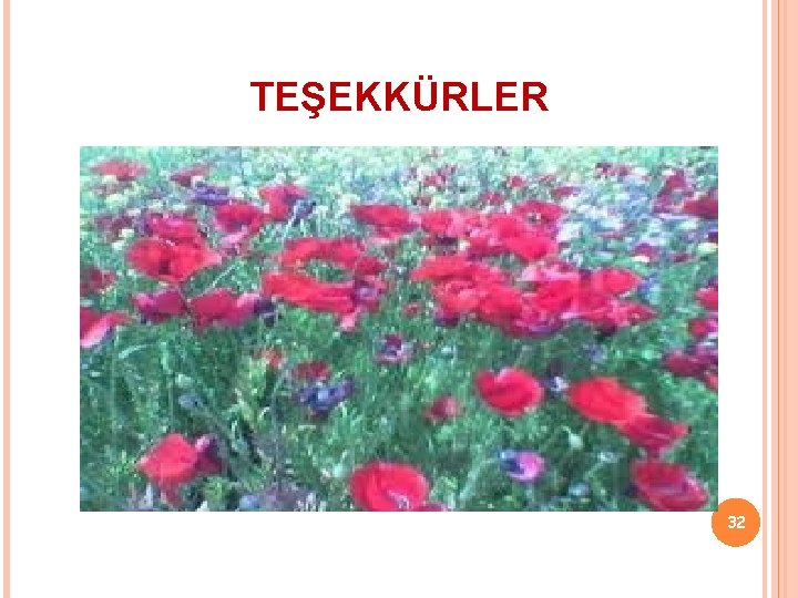 TEŞEKKÜRLER 32 