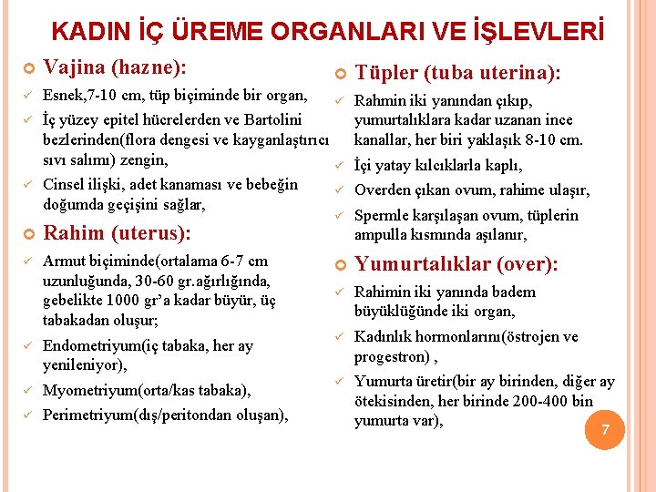 KADIN İÇ ÜREME ORGANLARI VE İŞLEVLERİ Vajina (hazne): Tüpler (tuba uterina): ü Esnek, 7