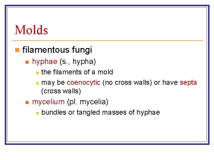 Molds n filamentous fungi n hyphae (s. , hypha) n n n the filaments