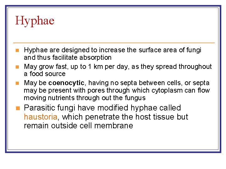 Hyphae n n Hyphae are designed to increase the surface area of fungi and