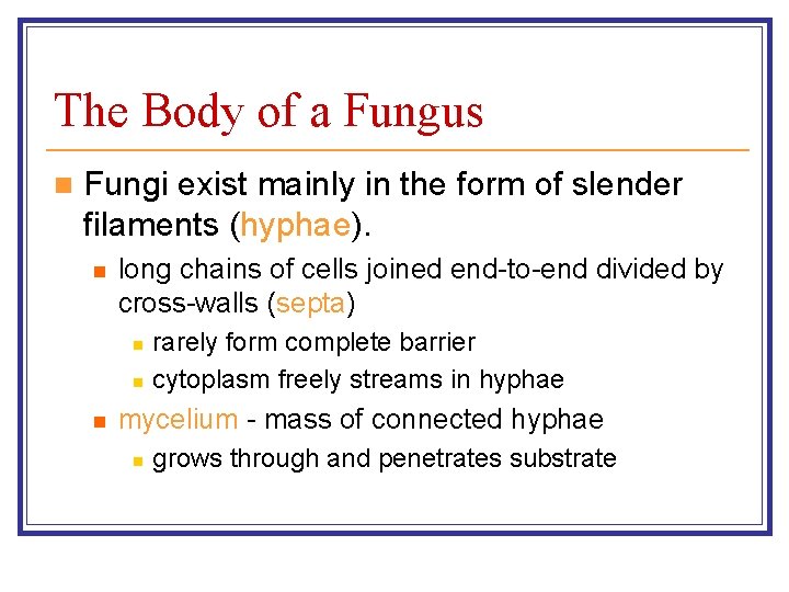 The Body of a Fungus n Fungi exist mainly in the form of slender