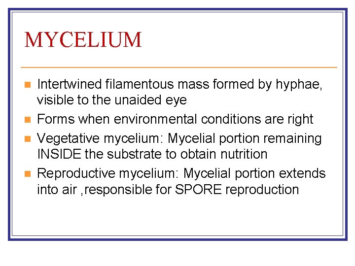 MYCELIUM n n Intertwined filamentous mass formed by hyphae, visible to the unaided eye