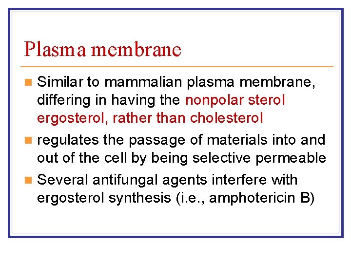 Plasma membrane Similar to mammalian plasma membrane, differing in having the nonpolar sterol ergosterol,