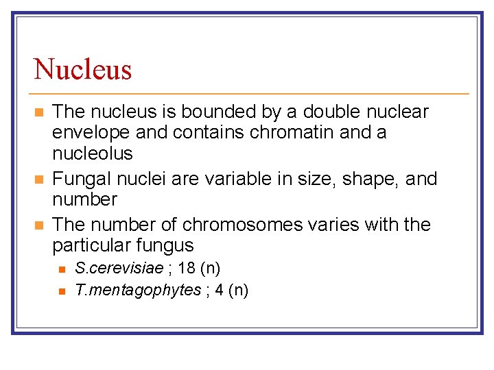 Nucleus n n n The nucleus is bounded by a double nuclear envelope and