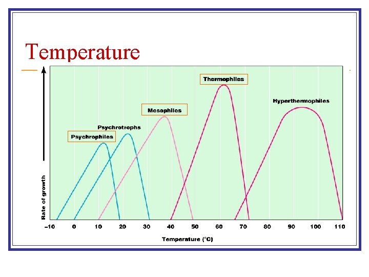 Temperature 