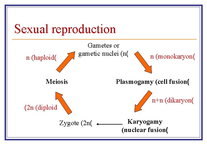 Sexual reproduction Gametes or gametic nuclei (n( n (haploid( Meiosis n (monokaryon( Plasmogamy (cell