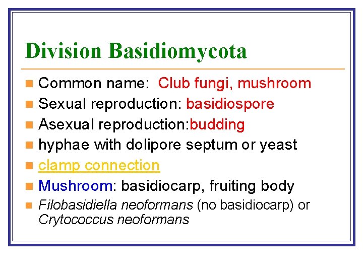 Division Basidiomycota Common name: Club fungi, mushroom n Sexual reproduction: basidiospore n Asexual reproduction: