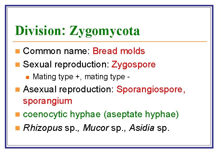 Division: Zygomycota Common name: Bread molds n Sexual reproduction: Zygospore n n Mating type