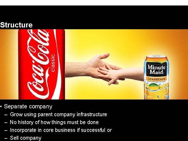 Structure • Separate company – – Grow using parent company infrastructure No history of