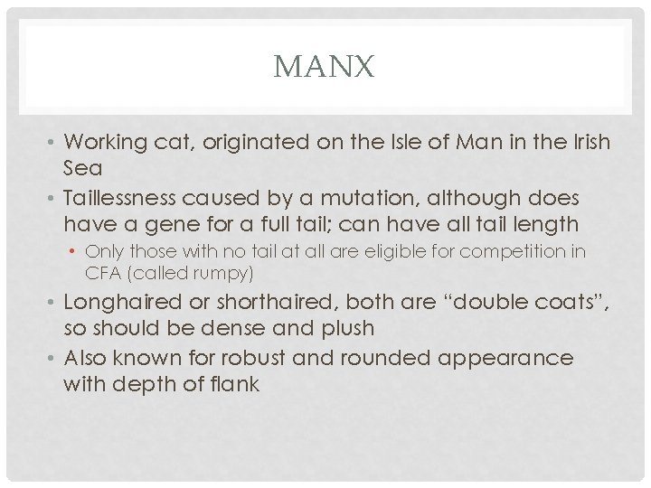MANX • Working cat, originated on the Isle of Man in the Irish Sea