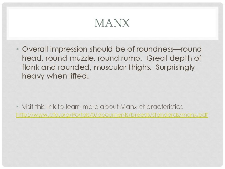 MANX • Overall impression should be of roundness—round head, round muzzle, round rump. Great