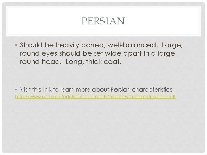 PERSIAN • Should be heavily boned, well-balanced. Large, round eyes should be set wide