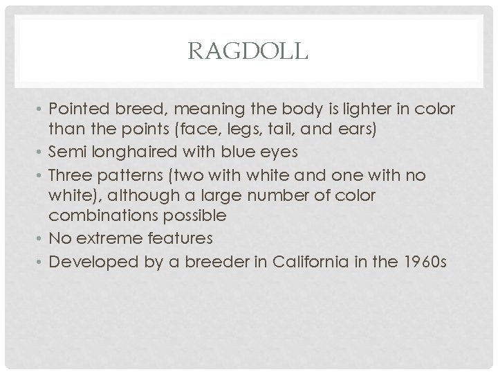 RAGDOLL • Pointed breed, meaning the body is lighter in color than the points