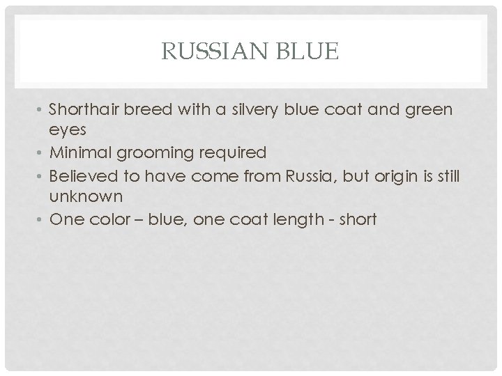 RUSSIAN BLUE • Shorthair breed with a silvery blue coat and green eyes •