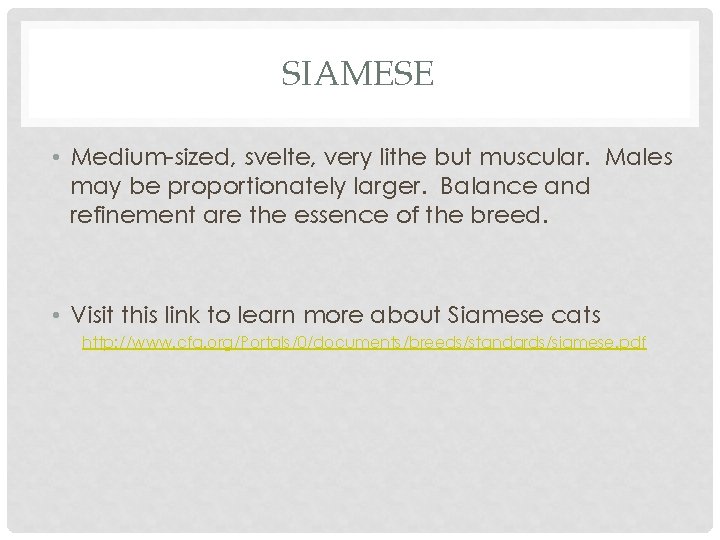 SIAMESE • Medium-sized, svelte, very lithe but muscular. Males may be proportionately larger. Balance