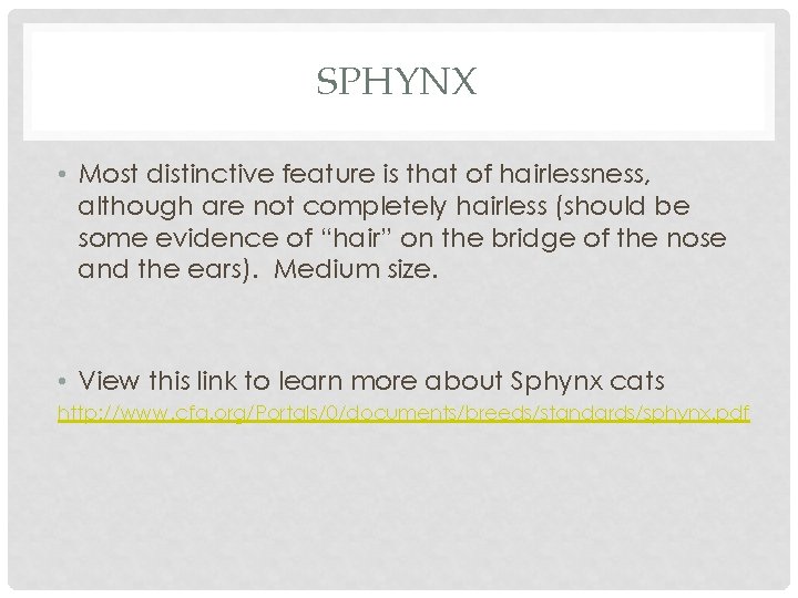 SPHYNX • Most distinctive feature is that of hairlessness, although are not completely hairless