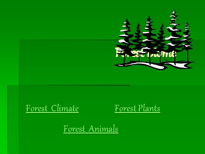 Forest Biome Forest Climate Forest Plants Forest Animals 