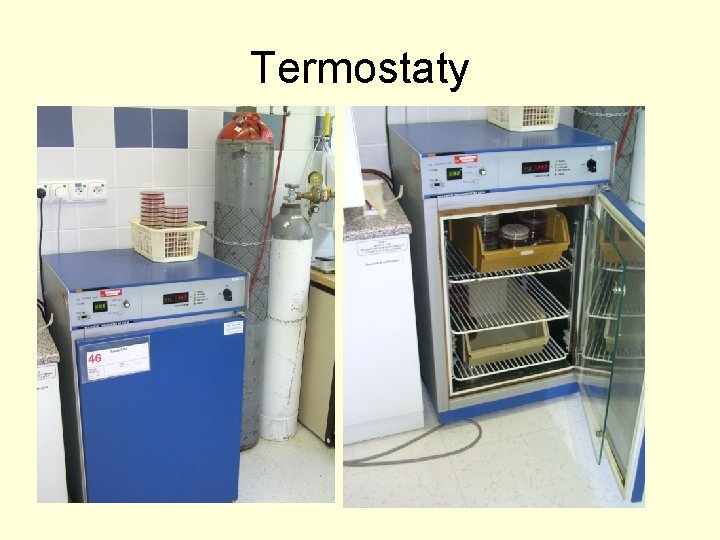 Termostaty 