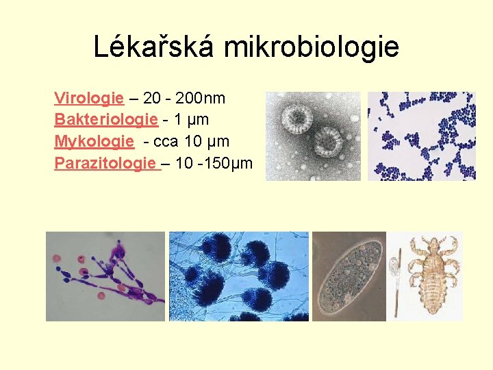 Lékařská mikrobiologie Virologie – 20 - 200 nm Bakteriologie - 1 μm Mykologie -