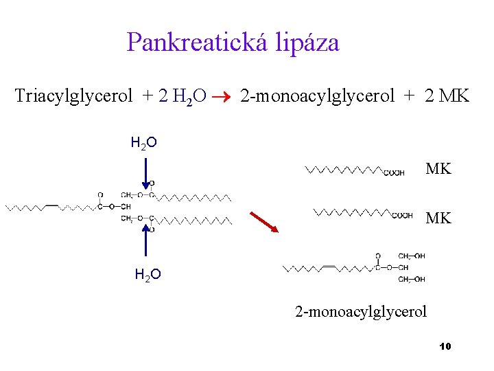 Pankreatická lipáza Triacylglycerol + 2 H 2 O 2 -monoacylglycerol + 2 MK H
