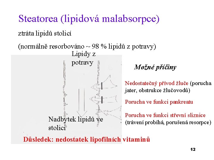 Steatorea (lipidová malabsorpce) ztráta lipidů stolicí (normálně resorbováno ~ 98 % lipidů z potravy)