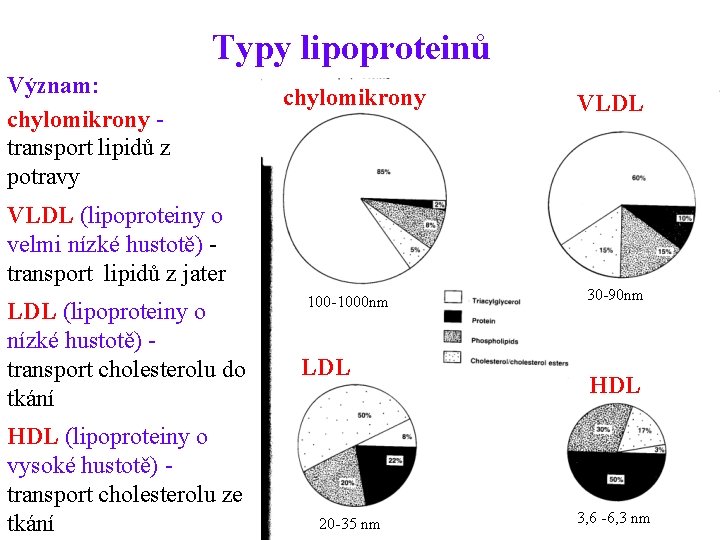 Typy lipoproteinů Význam: chylomikrony - transport lipidů z potravy chylomikrony VLDL (lipoproteiny o velmi