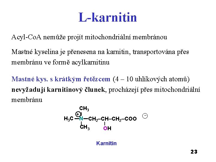 L-karnitin Acyl-Co. A nemůže projít mitochondriální membránou Mastné kyselina je přenesena na karnitin, transportována