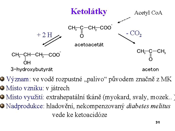 Ketolátky Acetyl Co. A - CO 2 + 2 H acetoacetát 3 -hydroxybutyrát aceton