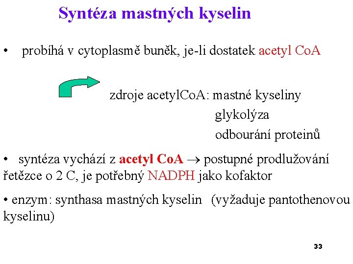 Syntéza mastných kyselin • probíhá v cytoplasmě buněk, je-li dostatek acetyl Co. A zdroje