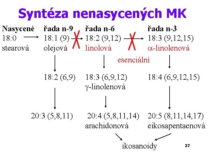Syntéza nenasycených MK Nasycené 18: 0 stearová řada n-9 18: 1 (9) olejová řada