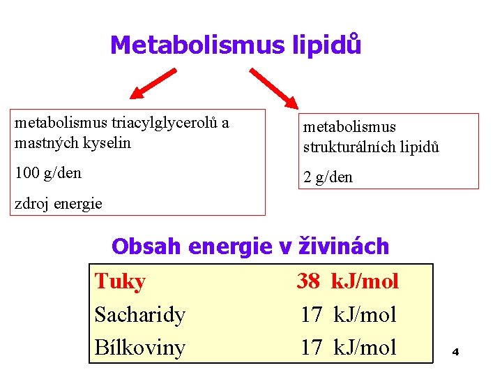 Metabolismus lipidů metabolismus triacylglycerolů a mastných kyselin metabolismus strukturálních lipidů 100 g/den 2 g/den