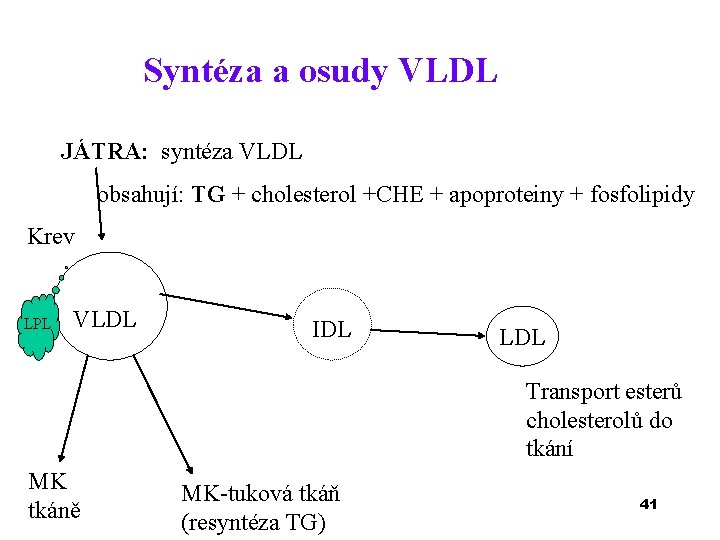 Syntéza a osudy VLDL JÁTRA: syntéza VLDL obsahují: TG + cholesterol +CHE + apoproteiny