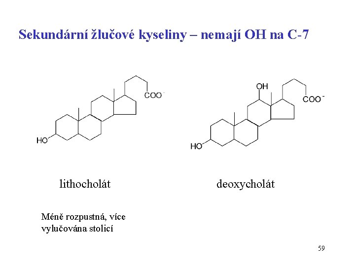 Sekundární žlučové kyseliny – nemají OH na C-7 lithocholát deoxycholát Méně rozpustná, více vylučována