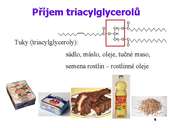 Příjem triacylglycerolů Tuky (triacylglyceroly): sádlo, máslo, oleje, tučné maso, semena rostlin – rostlinné oleje