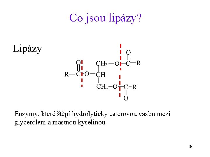 Co jsou lipázy? Lipázy Enzymy, které štěpí hydrolyticky esterovou vazbu mezi glycerolem a mastnou