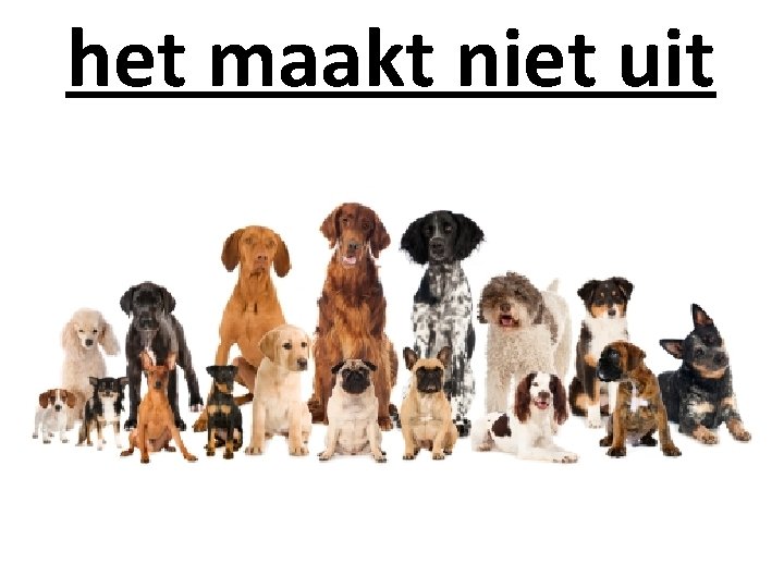 het maakt niet uit 