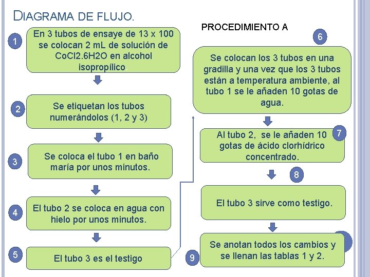 DIAGRAMA DE FLUJO. 1 2 3 4 5 PROCEDIMIENTO A En 3 tubos de