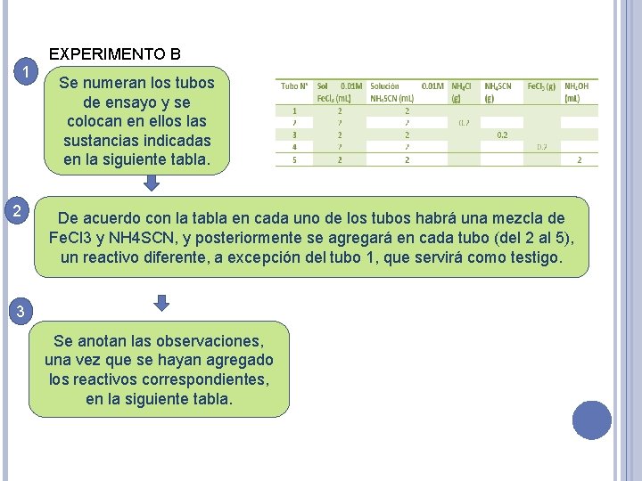 1 2 EXPERIMENTO B Se numeran los tubos de ensayo y se colocan en