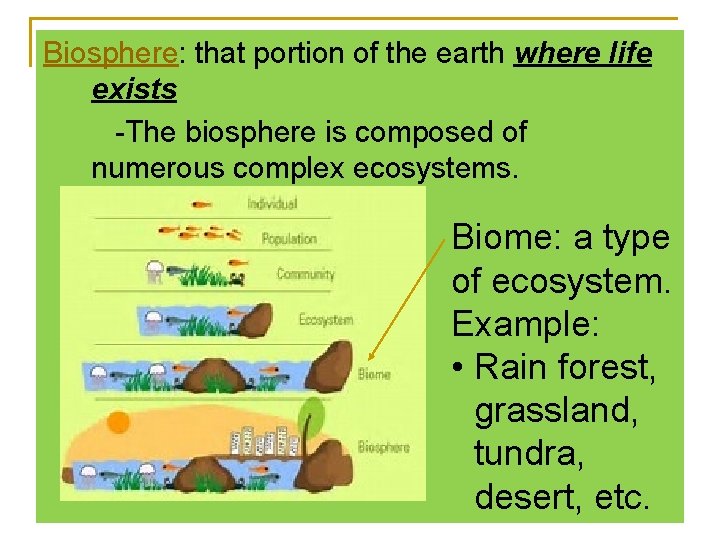 Biosphere: that portion of the earth where life exists -The biosphere is composed of