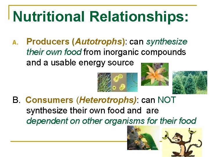 Nutritional Relationships: A. Producers (Autotrophs): can synthesize their own food from inorganic compounds and