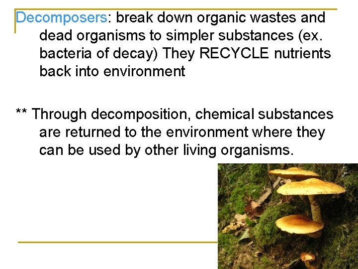 Decomposers: break down organic wastes and dead organisms to simpler substances (ex. bacteria of